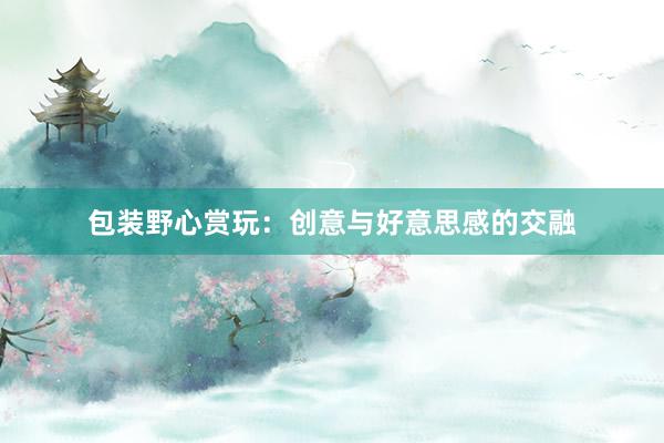 包装野心赏玩:创意与好意思感的交融