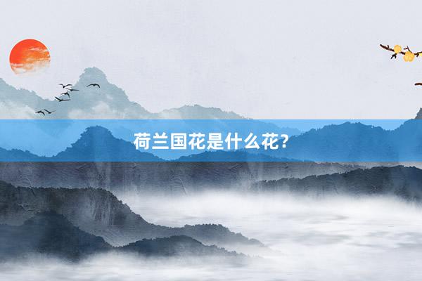 荷兰国花是什么花？