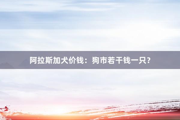 阿拉斯加犬价钱：狗市若干钱一只？