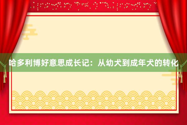 哈多利博好意思成长记：从幼犬到成年犬的转化